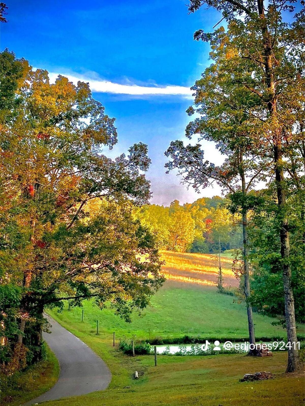 The Willow, Secluded And Cozy Country Cabin Ravenna 外观 照片